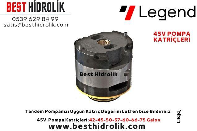 45V60 GALON SABİT DEBİLİ PALETLİ POMPA KATRİÇİ