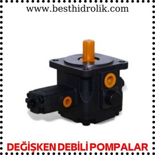 DEĞİŞKEN DEBİLİ PALETLİ POMPALAR