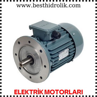 Elektrik Motorları