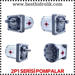 2P1 SERİSİ POMPALAR