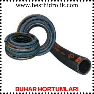 Buhar Hortumları