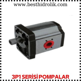 3P1 SERİSİ POMPALAR