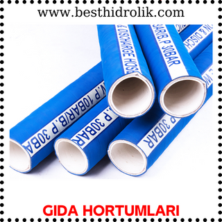 Gıda Hortumları