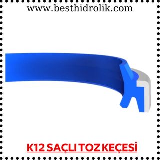 K12 SAÇLI TOZ KEÇESİ