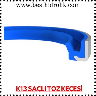 K13 SAÇLI TOZ KEÇESİ