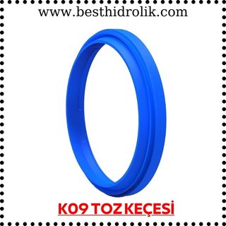 K09 TOZ KEÇESİ