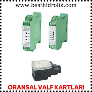 Oransal Valf Kartları